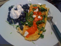 Omlette w/Blue Berries and Yougurt